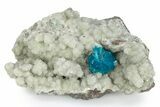 Vibrant Blue Cavansite Crystals on Sparkling Stilbite - India #340996-1